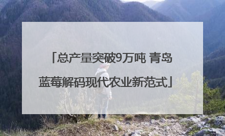 总产量突破9万吨 青岛蓝莓解码现代农业新范式