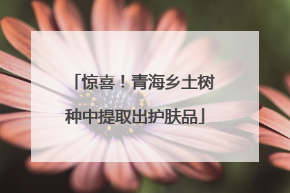 惊喜！青海乡土树种中提取出护肤品