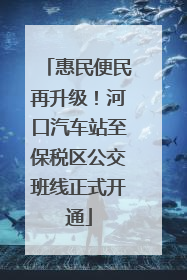 惠民便民再升级！河口汽车站至保税区公交班线正式开通