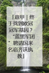 意甲｜终于找到欧冠冠军基因？“蓝黑军团”聘请国米名宿齐沃执教