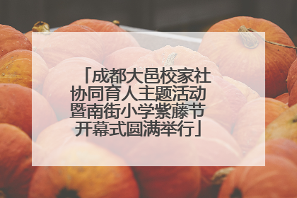 成都大邑校家社协同育人主题活动暨南街小学紫藤节开幕式圆满举行