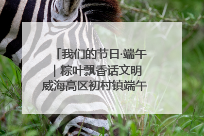我们的节日·端午｜粽叶飘香话文明 威海高区初村镇端午系列活动亮点纷呈