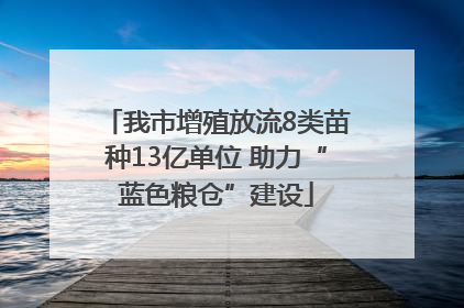 我市增殖放流8类苗种13亿单位 助力“蓝色粮仓”建设