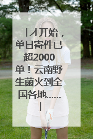 才开始，单日寄件已超2000单！云南野生菌火到全国各地……