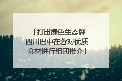 打出绿色生态牌 四川巴中在蓉对优质食材进行组团推介