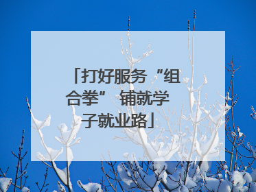 打好服务“组合拳” 铺就学子就业路