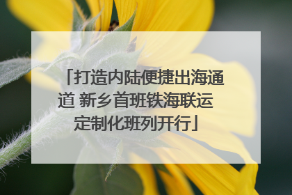 打造内陆便捷出海通道 新乡首班铁海联运定制化班列开行
