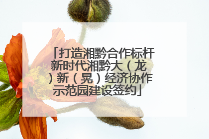 打造湘黔合作标杆 新时代湘黔大（龙）新（晃）经济协作示范园建设签约