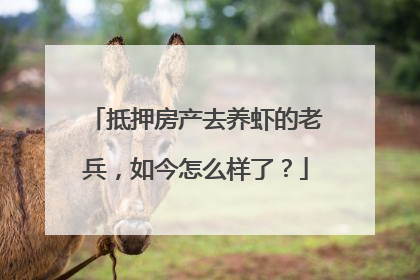 抵押房产去养虾的老兵，如今怎么样了？