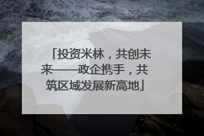 投资米林，共创未来——政企携手，共筑区域发展新高地