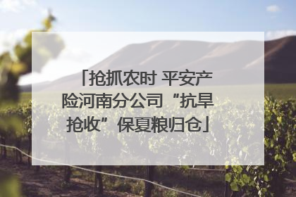 抢抓农时 平安产险河南分公司“抗旱抢收”保夏粮归仓