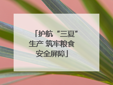 护航“三夏”生产 筑牢粮食安全屏障