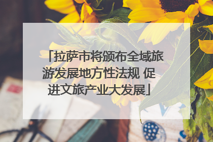 拉萨市将颁布全域旅游发展地方性法规 促进文旅产业大发展