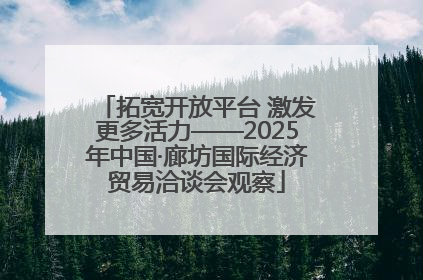 拓宽开放平台 激发更多活力——2025年中国·廊坊国际经济贸易洽谈会观察