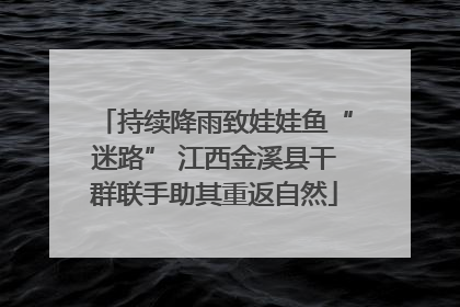 持续降雨致娃娃鱼“迷路” 江西金溪县干群联手助其重返自然