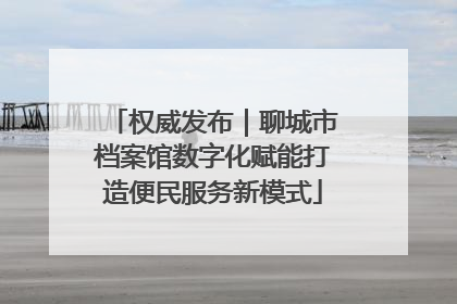 权威发布｜聊城市档案馆数字化赋能打造便民服务新模式