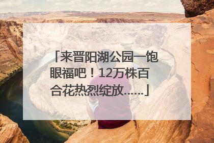 来晋阳湖公园一饱眼福吧！12万株百合花热烈绽放……