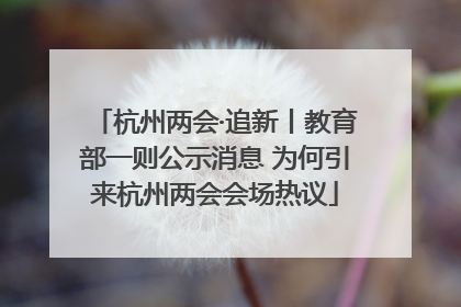 杭州两会·追新丨教育部一则公示消息 为何引来杭州两会会场热议