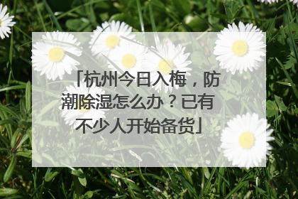 杭州今日入梅，防潮除湿怎么办？已有不少人开始备货