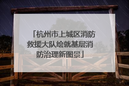 杭州市上城区消防救援大队绘就基层消防治理新图景