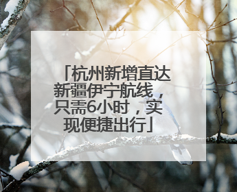 杭州新增直达新疆伊宁航线，只需6小时，实现便捷出行