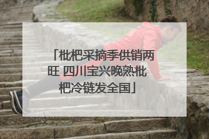 枇杷采摘季供销两旺 四川宝兴晚熟枇杷冷链发全国