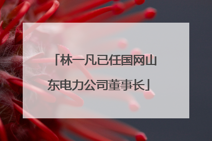 林一凡已任国网山东电力公司董事长