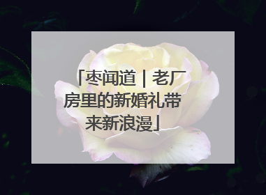 枣闻道｜老厂房里的新婚礼带来新浪漫