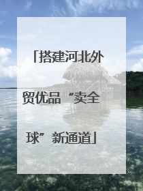 搭建河北外贸优品“卖全球”新通道