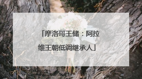 摩洛哥王储：阿拉维王朝低调继承人