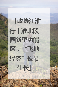 政协江淮行｜淮北段园新型功能区：“飞地经济”拔节生长
