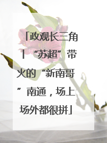 政观长三角丨“苏超”带火的“新南哥”南通，场上场外都很拼