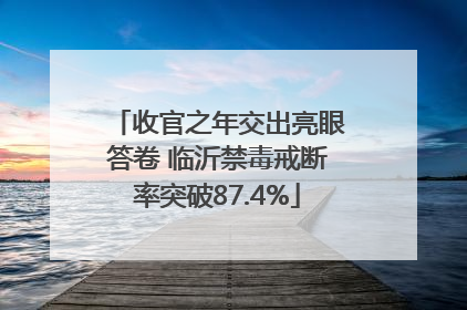 收官之年交出亮眼答卷 临沂禁毒戒断率突破87.4%