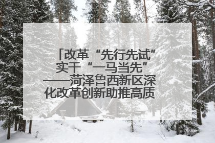改革“先行先试” 实干“一马当先”——菏泽鲁西新区深化改革创新助推高质量发展纪实