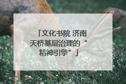 文化书院 济南天桥基层治理的“精神引擎”