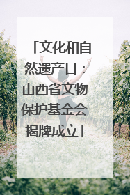 文化和自然遗产日：山西省文物保护基金会揭牌成立