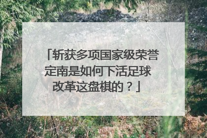 斩获多项国家级荣誉 定南是如何下活足球改革这盘棋的？