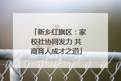 新乡红旗区：家校社协同发力 共商育人成才之道