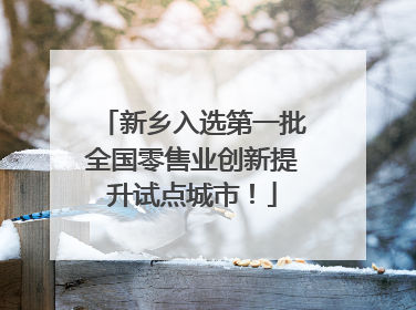 新乡入选第一批全国零售业创新提升试点城市！