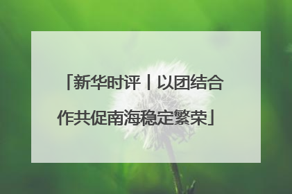 新华时评丨以团结合作共促南海稳定繁荣