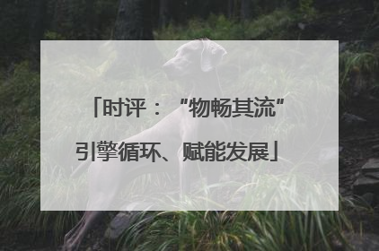 时评：“物畅其流”引擎循环、赋能发展