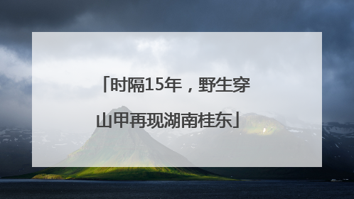 时隔15年，野生穿山甲再现湖南桂东