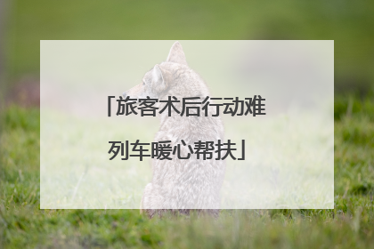 旅客术后行动难 列车暖心帮扶