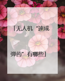 无人机“速成弹药”有哪些