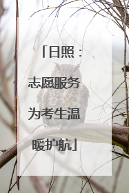 日照：志愿服务为考生温暖护航