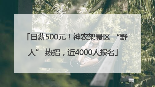 日薪500元！神农架景区 “野人” 热招，近4000人报名