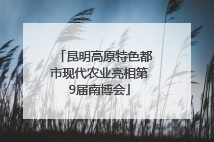 昆明高原特色都市现代农业亮相第9届南博会