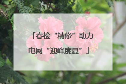 春检“精修”助力电网“迎峰度夏”