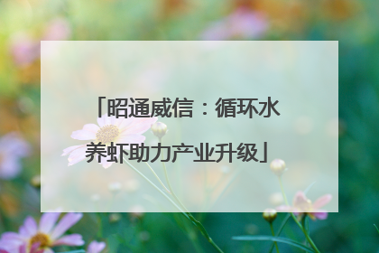 昭通威信：循环水养虾助力产业升级