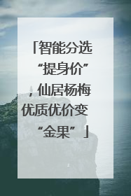 智能分选“提身价”，仙居杨梅优质优价变“金果”